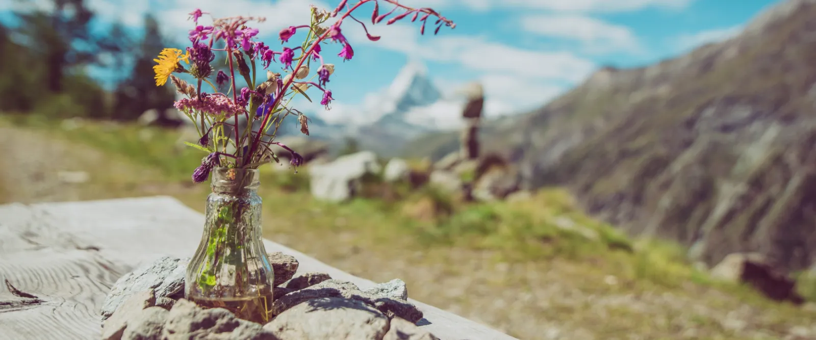 Bouquet de fleurs sauvages posé sur un mur de pierre, face aux sommets du Valais