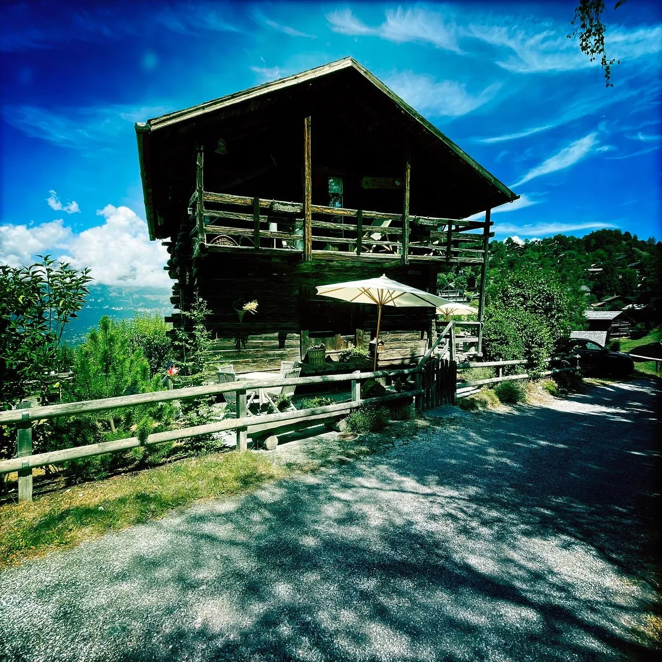 Chalet en bois entouré de mélèzes sous un ciel bleu