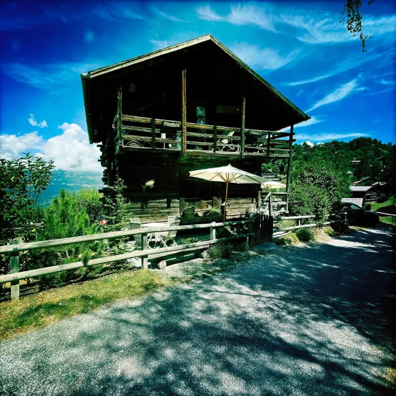 Chalet en bois entouré de mélèzes sous un ciel bleu