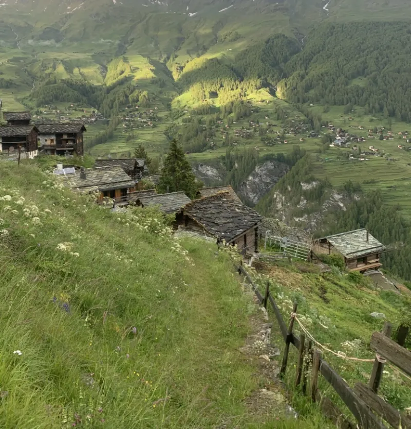 Granges et chalets dans les prés, au-dessus d'un vallon boisé